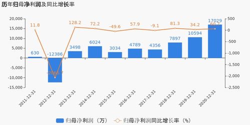 有研新材2020年度業(yè)績(jī)顯著提升，歸母凈利潤(rùn)同比大漲60.74%，投資項(xiàng)目回報(bào)成未來焦點(diǎn)